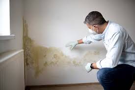 Mold Remediation for Vacation Homes in Madison Park, NJ